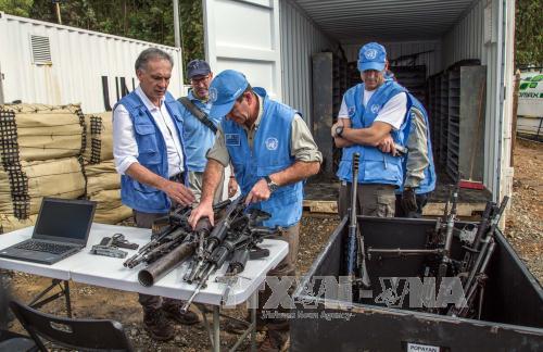 Colombia: FARC khởi động giai đoạn hoàn tất giao nộp vũ khí ảnh 1